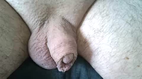 dapppper online show from June 20, 11:26 am