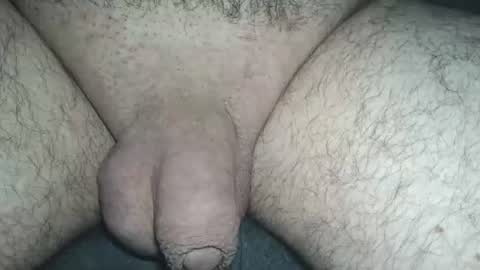 dapppper online show from June 28, 2:28 am