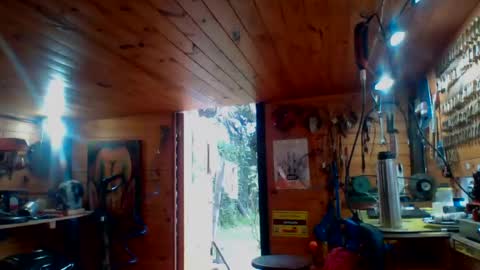 discretopasivo online show from June 13, 5:00 pm
