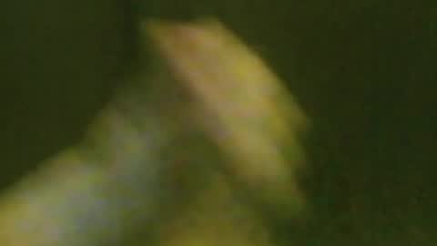 kren565656 online show from July 9, 8:51 am