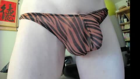 suedernorder online show from June 15, 2:42 pm