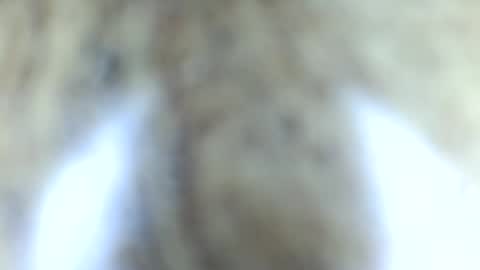 tinypecker6 online show from June 8, 5:58 pm