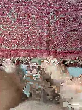 wajdi-wa7ch online show from July 19, 7:36 am
