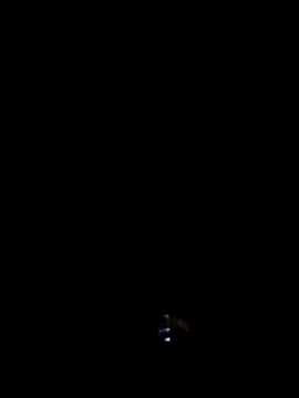 mirko7898 online show from July 8, 2:48 am