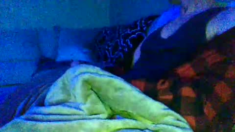 0h_henry online show from January 17, 11:35 am