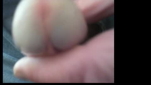 Snapshot of 10mm_socket chatting on September 27, 12:08 am 10mm_socket online show from September 27, 12:08 am