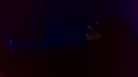 186000percentage online show from December 3, 2:34 am