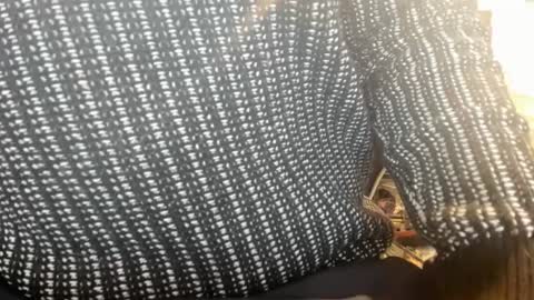 Snapshot of 1bigloadasian chatting on March 11, 11:04 pm 1bigloadasian online show from March 11, 11:04 pm