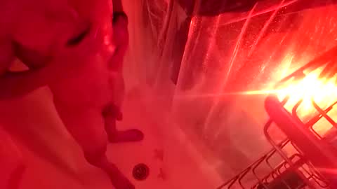 1knightluver69 online show from March 31, 9:00 am