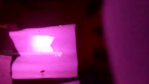 1st___ online show from November 25, 9:00 am