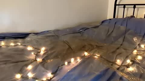 1toxiclust online show from November 16, 2:03 am