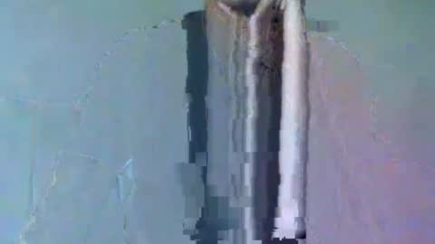 Snapshot of 2277harsh chatting on March 2, 12:14 pm 2277harsh online show from March 2, 12:14 pm