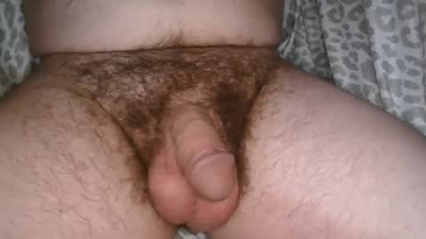 Phil online show from April 5, 2:19 am