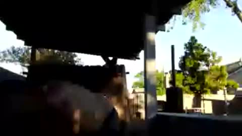 420dick420707 online show from March 19, 1:20 am