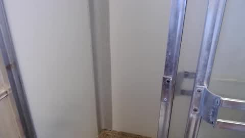 69bidam online show from December 14, 2:02 pm