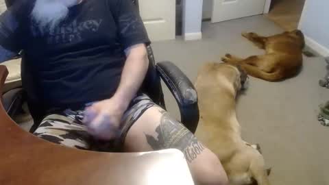 Snapshot of 70paborn chatting on October 13, 5:08 pm MASTIFF online show from October 13, 5:08 pm