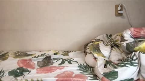 Alan online show from October 24, 8:54 pm