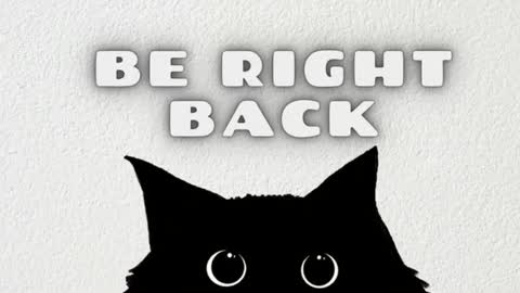 Ask me online show from December 14, 5:03 am