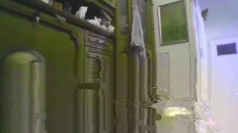 a203530 online show from November 25, 6:48 am