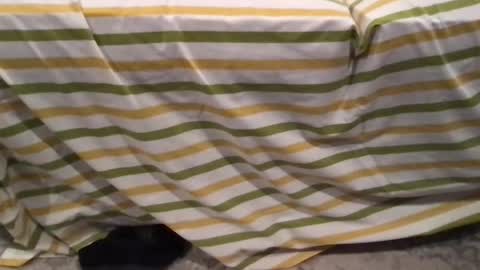 abe_froman2007 online show from February 11, 7:24 am