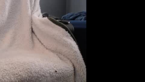 abide86 online show from February 6, 7:00 pm