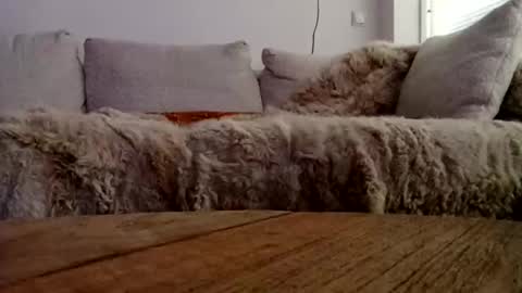 I love a little angel online show from December 2, 3:15 pm