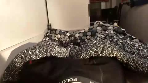 Snapshot of adrisex2002 chatting on December 9, 6:41 pm adrisex2002 online show from December 9, 6:41 pm