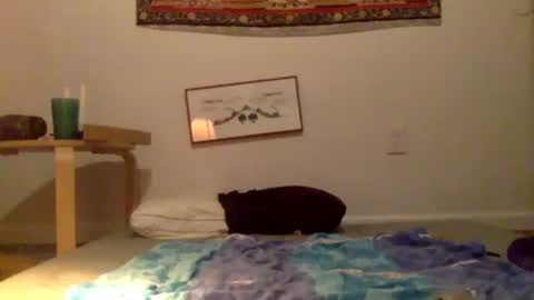 aesthetic form online show from November 19, 11:37 pm