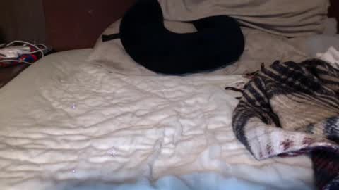 Snapshot of albertalbert9 chatting on December 13, 7:26 am albertalbert9 online show from December 13, 7:26 am