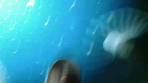 ALPH4BETO online show from December 23, 5:05 am