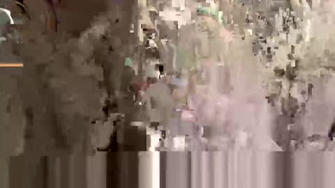 American Stud online show from April 4, 4:26 pm