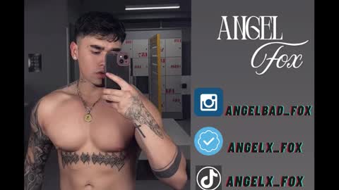 Angel Fox online show from January 14, 9:40 pm