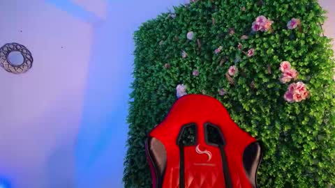 anhonymus online show from November 13, 4:28 am