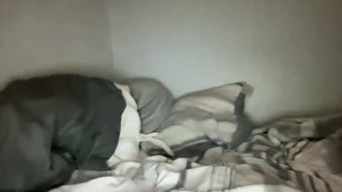 Animeboygirls online show from January 16, 7:49 am