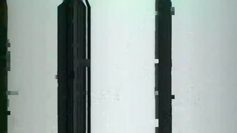 lion kennedy independent model moderator online show from October 9, 11:20 pm