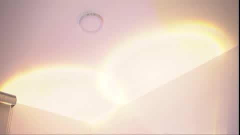 insta appolo master online show from February 24, 4:35 am