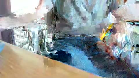 Snapshot of armalite16 chatting on September 27, 9:34 pm armalite16 online show from September 27, 9:34 pm