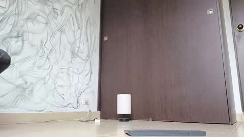   online show from October 16, 12:13 pm