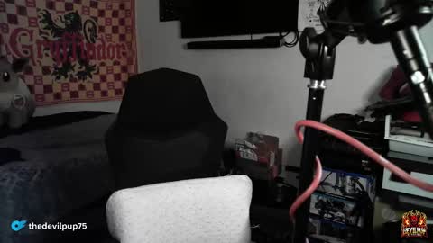 DevilPup75 online show from January 16, 8:50 am