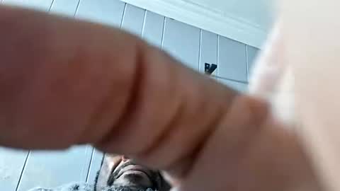 assetr69aldy online show from November 12, 2:56 pm