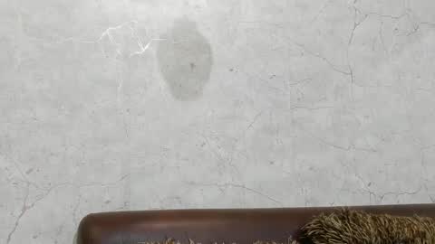 Austin online show from September 26, 7:00 pm