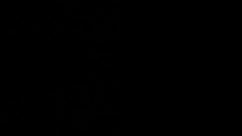 Ayden Miller online show from December 14, 1:49 pm