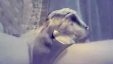 bartbartek online show from February 3, 1:03 am