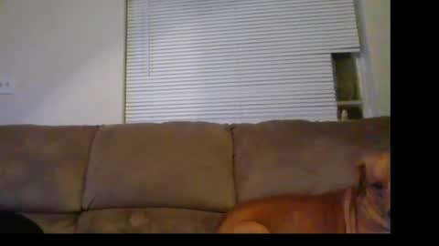 Snapshot of bbc_rocker chatting on January 1, 1:58 am rocker n queen online show from January 1, 1:58 am
