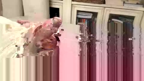 BeachGuy online show from November 3, 3:58 pm