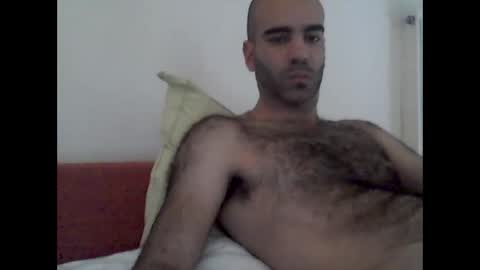 bear14250949 online show from November 12, 10:43 am