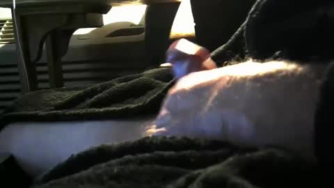 Snapshot of bear4146 chatting on February 6, 2:37 pm bear4146 online show from February 6, 2:37 pm