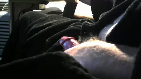 Snapshot of bear4146 chatting on February 8, 3:31 pm bear4146 online show from February 8, 3:31 pm