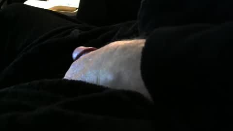 Snapshot of bear4146 chatting on February 9, 3:45 pm bear4146 online show from February 9, 3:45 pm