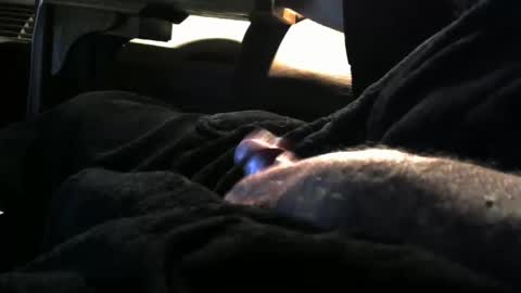 Snapshot of bear4146 chatting on January 4, 3:28 pm bear4146 online show from January 4, 3:28 pm